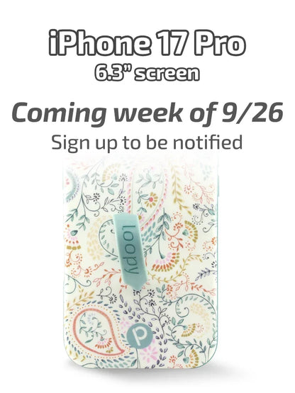 Painted Paisley