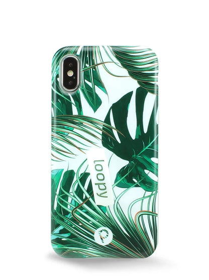 Monstera